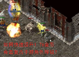 如何快速提升1.76金币合击复古手游角色等级? 如何快速提升1.76金币合击复古手游角色等级?