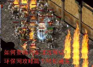 如何查询汽车排放等级?环保网攻略助你轻松通关 如何查询汽车排放等级?环保网攻略助你轻松通关