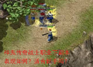 神鬼传奇战士职业下副本表现如何?适合新手吗? 神鬼传奇战士职业下副本表现如何?适合新手吗?