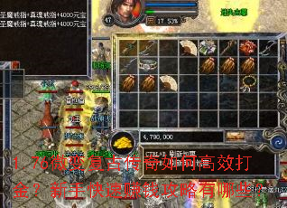 1.76微变复古传奇如何高效打金?新手快速赚钱攻略有哪些? 1.76微变复古传奇如何高效打金?新手快速赚钱攻略有哪些?