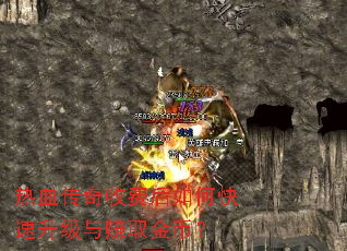 热血传奇收费后如何快速升级与赚取金币? 热血传奇收费后如何快速升级与赚取金币?