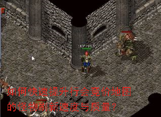 如何快速提升行会竞价地图的怪物刷新速度与质量? 如何快速提升行会竞价地图的怪物刷新速度与质量?
