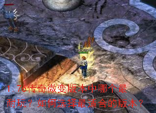 1.76����΢��汾���ĸ������棿���ѡ�����ʺϵİ汾��
