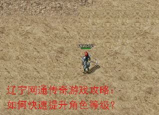 辽宁网通传奇游戏攻略:如何快速提升角色等级? 辽宁网通传奇游戏攻略:如何快速提升角色等级?