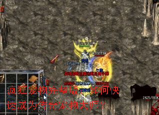疯狂宠物完整版:如何快速成为传奇宠物大师? 疯狂宠物完整版:如何快速成为传奇宠物大师?
