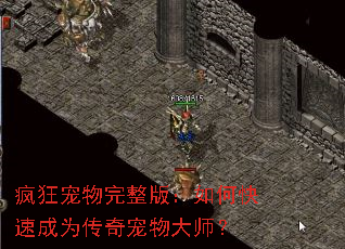 疯狂宠物完整版:如何快速成为传奇宠物大师? 疯狂宠物完整版:如何快速成为传奇宠物大师?