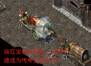 疯狂宠物完整版:如何快速成为传奇宠物大师? 疯狂宠物完整版:如何快速成为传奇宠物大师?