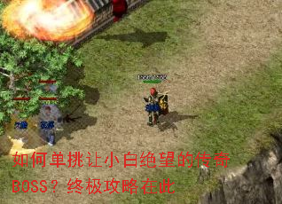 ��ε�����С�׾����Ĵ���BOSS���ռ������ڴ�