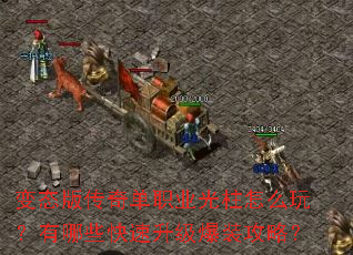 变态版传奇单职业光柱怎么玩?有哪些快速升级爆装攻略? 变态版传奇单职业光柱怎么玩?有哪些快速升级爆装攻略?