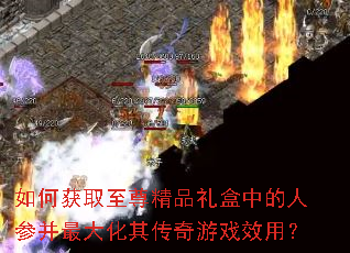 如何获取至尊精品礼盒中的人参并最大化其传奇游戏效用? 如何获取至尊精品礼盒中的人参并最大化其传奇游戏效用?