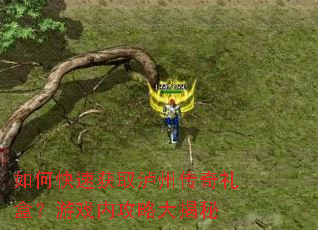 如何快速获取泸州传奇礼盒?游戏内攻略大揭秘 如何快速获取泸州传奇礼盒?游戏内攻略大揭秘