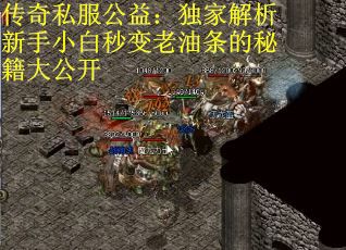 传奇私服公益：独家解析新手小白秒变老油条的秘籍大公开