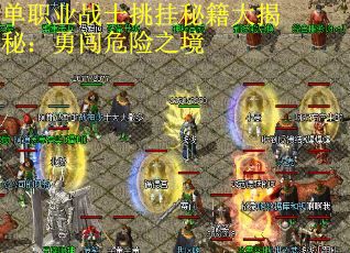 单职业战士挑挂秘籍大揭秘：勇闯危险之境