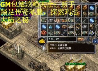 GM包站攻略大全：新手踏足传奇私服，探索玛法大陆之秘