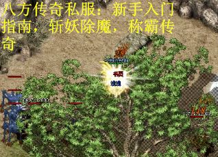 八方传奇私服：新手入门指南，斩妖除魔，称霸传奇