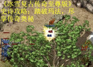 《冰雪复古传奇至尊版》史诗攻略：踏破玛法，尽享传奇奥秘