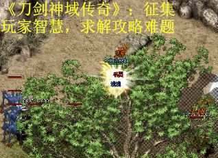 《刀剑神域传奇》：征集玩家智慧，求解攻略难题