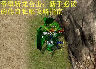 帝皇斩龙合击：新手必读的传奇私服攻略指南