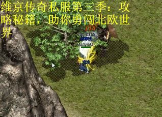 维京传奇私服第三季：攻略秘籍，助你勇闯北欧世界