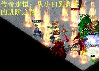 传奇永恒：从小白到高手的进阶之路