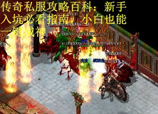 传奇私服攻略百科：新手入坑必看指南，小白也能一键成神
