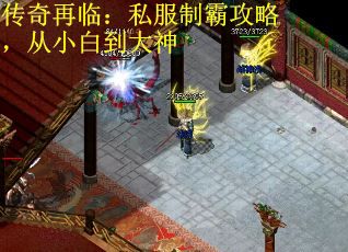 传奇再临：私服制霸攻略，从小白到大神