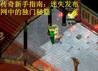 传奇新手指南：迷失发布网中的独门秘籍