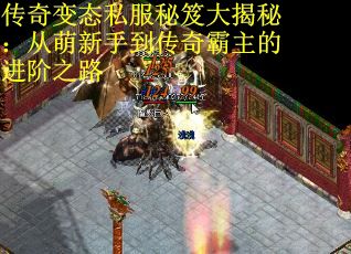 传奇变态私服秘笈大揭秘：从萌新手到传奇霸主的进阶之路