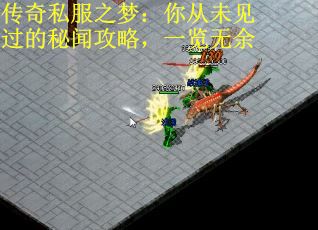 传奇私服之梦：你从未见过的秘闻攻略，一览无余