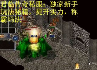 君临传奇私服：独家新手玩法秘籍，提升实力，称霸玛法
