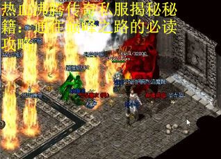 热血沸腾传奇私服揭秘秘籍：通往巅峰之路的必读攻略
