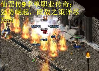 仙罡传9季单职业传奇：强势崛起，破敌之策详尽指南