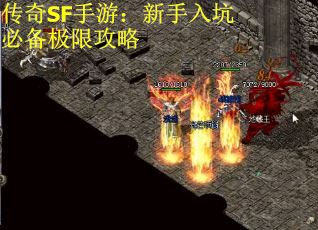 传奇SF手游：新手入坑必备极限攻略
