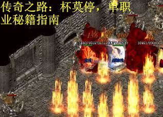 传奇之路：杯莫停，单职业秘籍指南