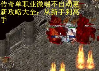 传奇单职业微端不自动更新攻略大全：从新手到高手
