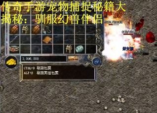 传奇手游宠物捕捉秘籍大揭秘：驯服幻兽伴侣