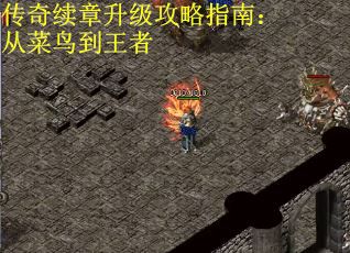 传奇续章升级攻略指南：从菜鸟到王者