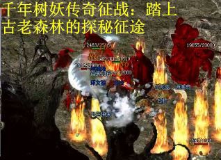 千年树妖传奇征战：踏上古老森林的探秘征途