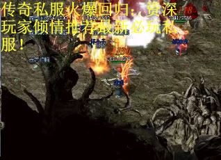 传奇私服火爆回归：资深玩家倾情推荐最新必玩私服！