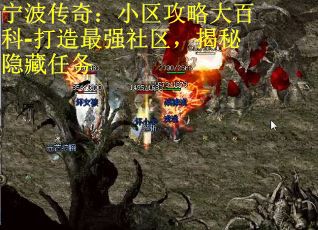 宁波传奇：小区攻略大百科-打造最强社区，揭秘隐藏任务
