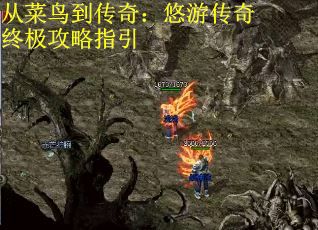 从菜鸟到传奇：悠游传奇终极攻略指引