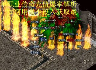 单职业传奇充值爆率解析：如何用最少投入获取最大收益