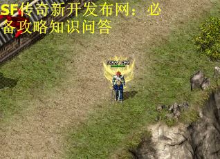 SF传奇新开发布网：必备攻略知识问答