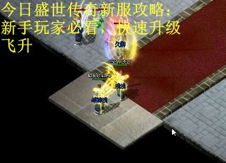 今日盛世传奇新服攻略：新手玩家必看，快速升级飞升