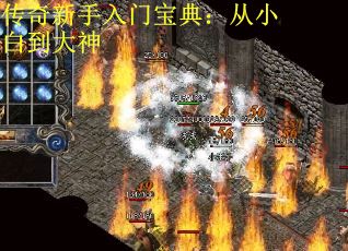 传奇新手入门宝典：从小白到大神