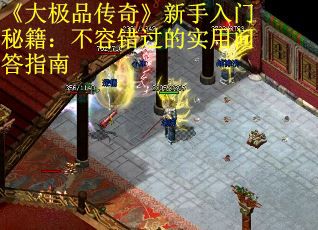 《大极品传奇》新手入门秘籍：不容错过的实用问答指南