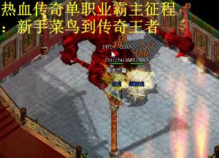 热血传奇单职业霸主征程：新手菜鸟到传奇王者