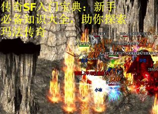 传奇SF入门宝典：新手必备知识大全，助你探索玛法传奇