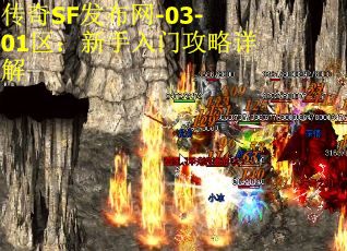 传奇SF发布网-03-01区：新手入门攻略详解