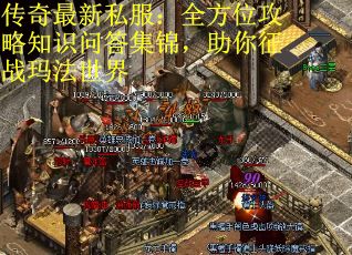 传奇最新私服：全方位攻略知识问答集锦，助你征战玛法世界